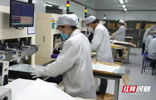 電子工匠展風采，勞務品牌促發(fā)展——冷水灘區(qū)以專業(yè)勞務品牌助力就業(yè)與產業(yè)雙贏